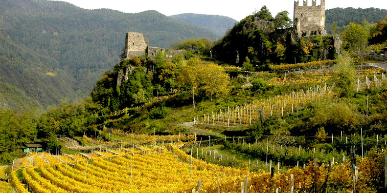 Castello di Segonzano  #4