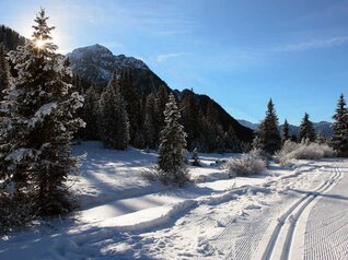 Centro Fondo Moena-Passo San Pellegrino Alochet