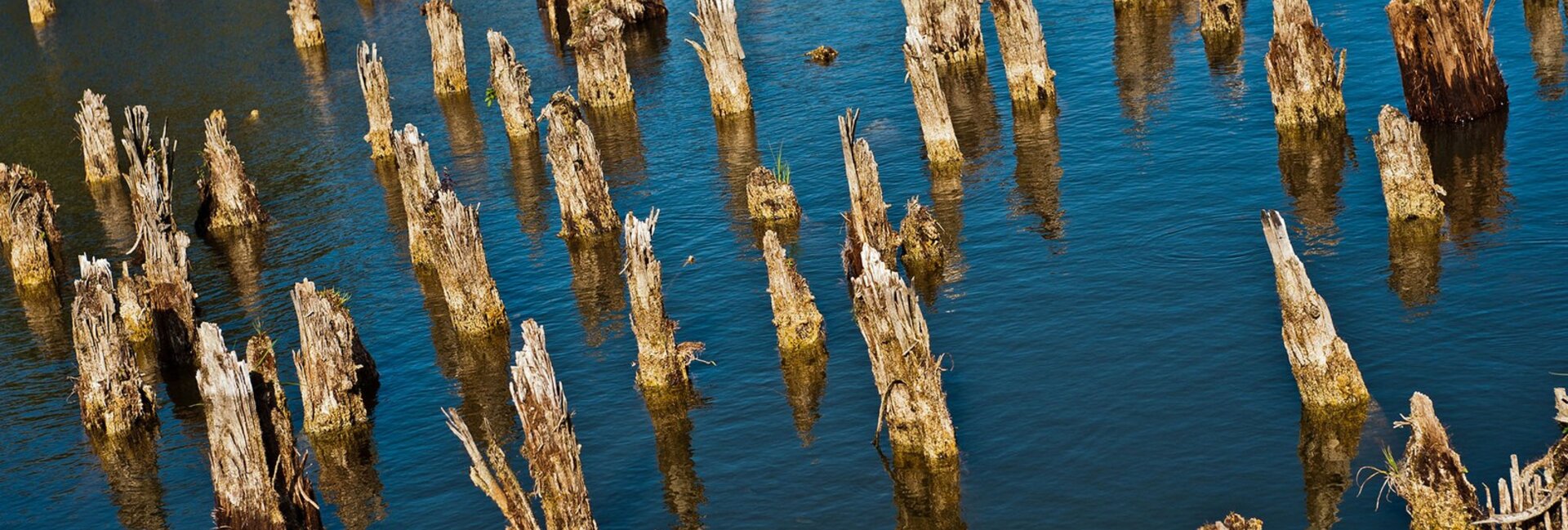 Pfahlbaumuseum in Fiavé