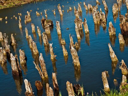 Pfahlbaumuseum in Fiavé