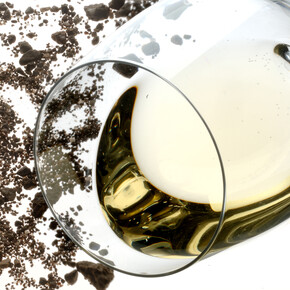 Białe trydenckie grona