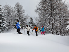 Ski resorts for a Christmas holiday in the Alps