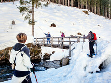 Offers for your winter holidays in the Italian Alps