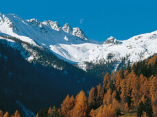 Winter holidays in Val di Non, enjoy skiing, snowshoeing, cross county skiing