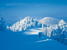 Skiarea Panarotta, vieni a sciare nello splendido scenario naturale della catena del Lagorai