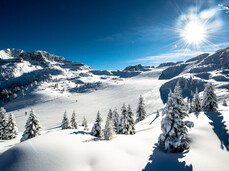 Dove andare a sciare in Trentino - Piste Madonna di Campiglio Pinzolo