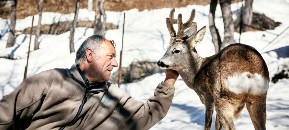 Con le ciaspole nei parchi naturali del Trentino