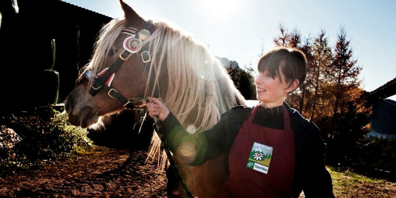 Agritur Dalai dei Pape #1
