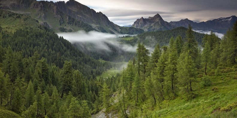 Przełęcz Gobbera  #2