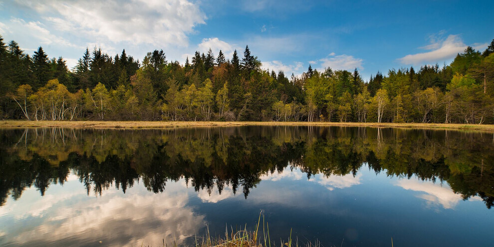 De tocht langs de oude meren | © Foto Archivio Rete di Riserve Cembra – Avisio