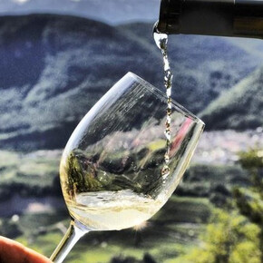 Wybrane pokrewieństwo