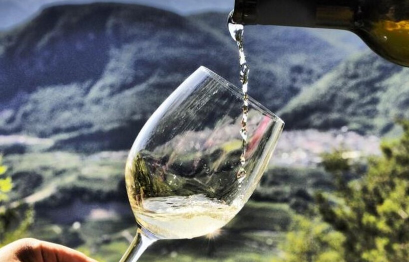 Scopri di più su questo vino