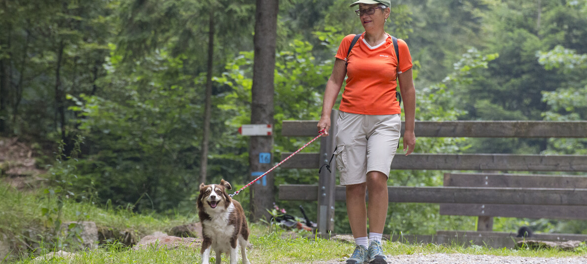 Al Molin dei Mori di Molveno
