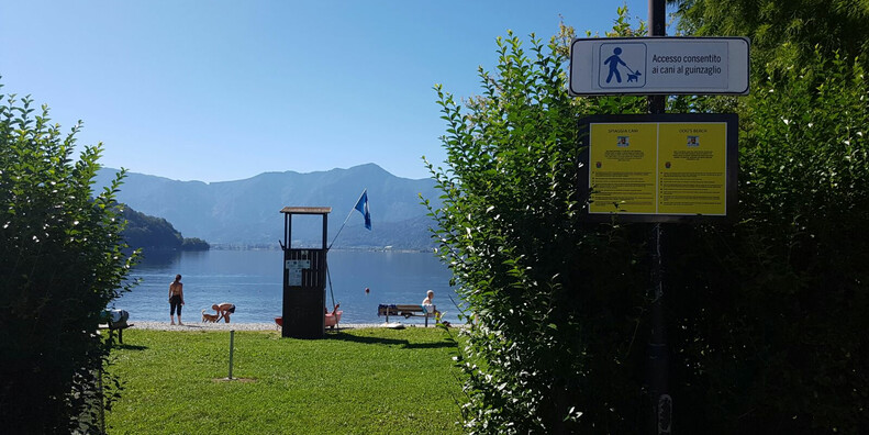 Al lago di Caldonazzo #1