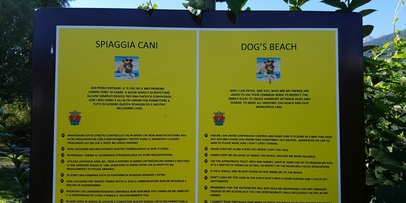 Al lago di Caldonazzo #2