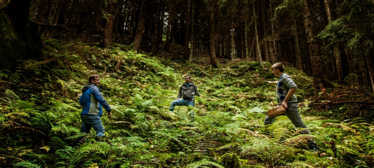 Eten & Wijn: de smaken van het bos