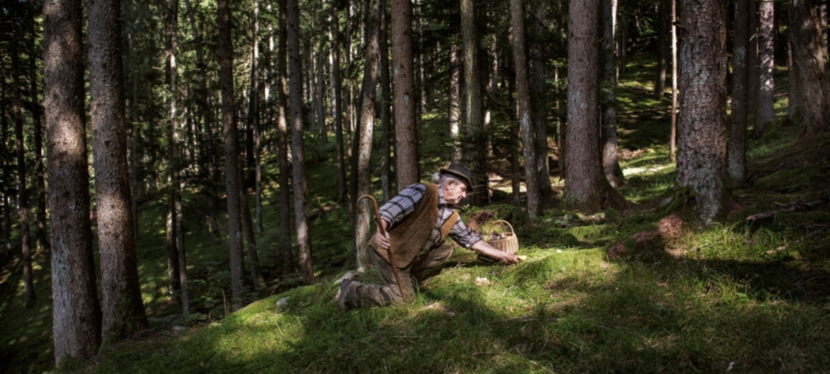 Eten & Wijn: de smaken van het bos
