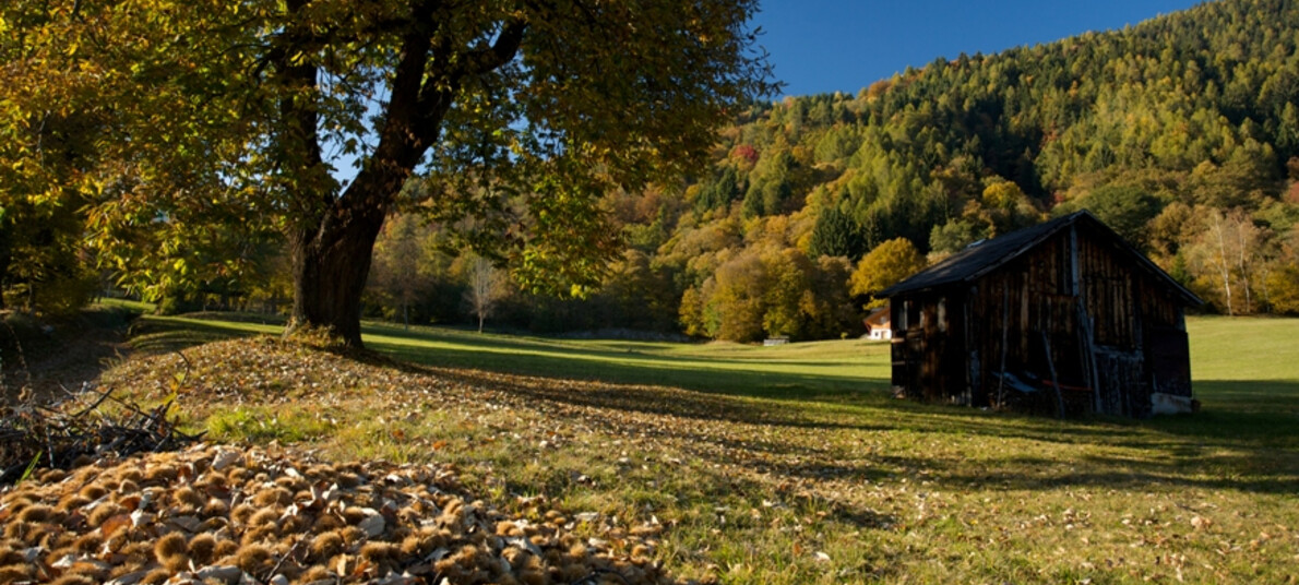 Eten & Wijn: de smaken van het bos