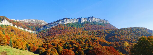 Parco_Monte_Baldo_Autunno_Nicola_Campostrini | © Parco_Monte_Baldo_Autunno_Nicola_Campostrini