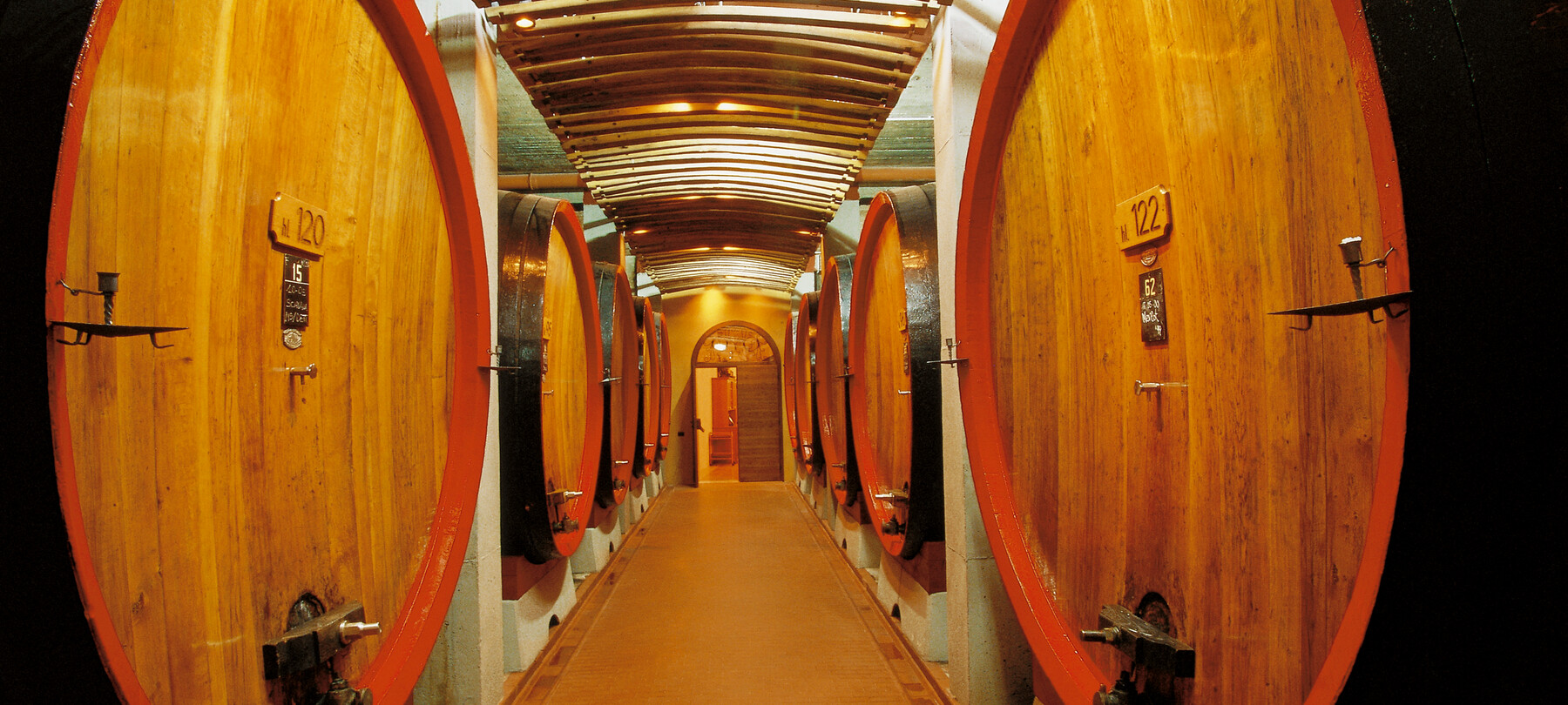 Wine tourism: discovering Nosiola among the Avisiane Hills and Lake Garda 