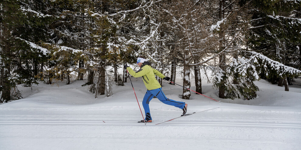 Pista Gervasi, Viote – Monte Bondone