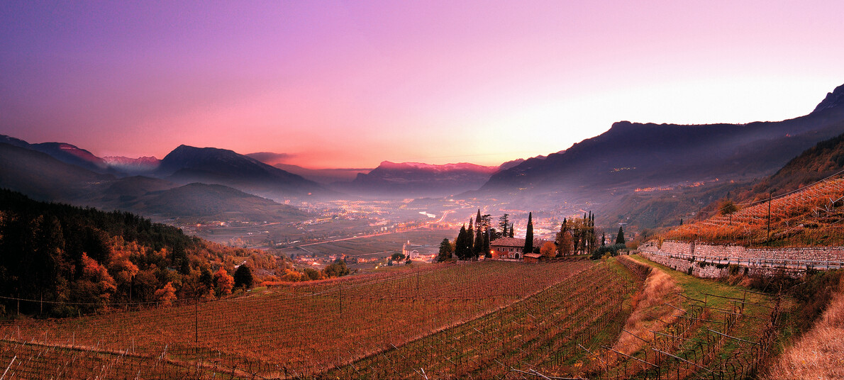 Panorama-Vallagarina-Vigneti-Carlo-Baroni | © Panorama-Vallagarina-Vigneti-Carlo-Baroni