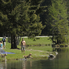 Con il cane al Lago dei caprioli
