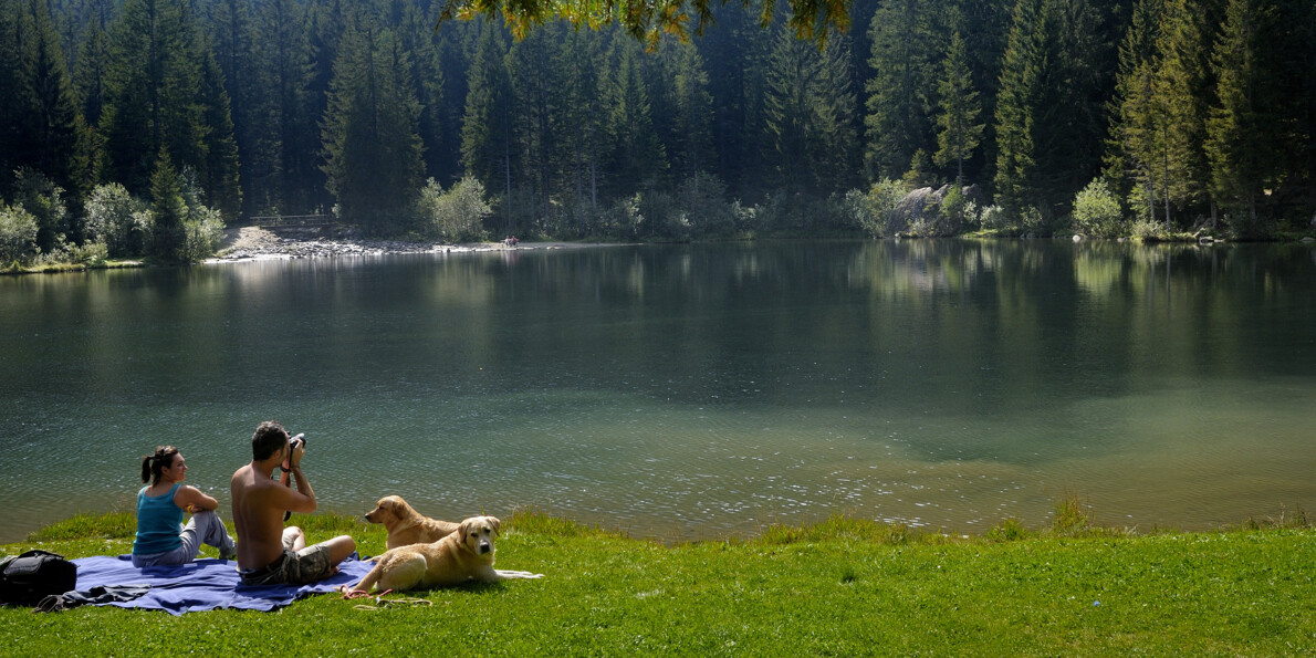 Escursione con cane al Lago dei caprioli