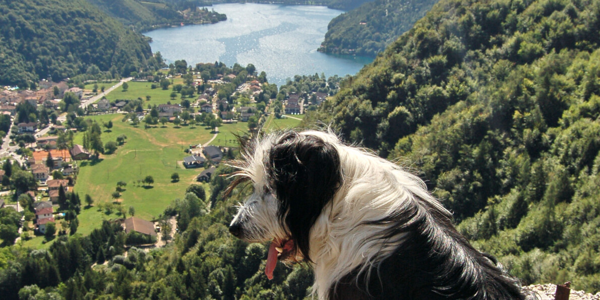 Ledro Land Art: arte all’aria aperta, da godersi con il proprio cane