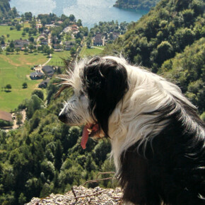 Ledro Land Art: arte all’aria aperta
