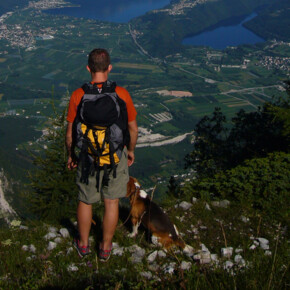 Passeggiata con cane al Pizzo di Levico