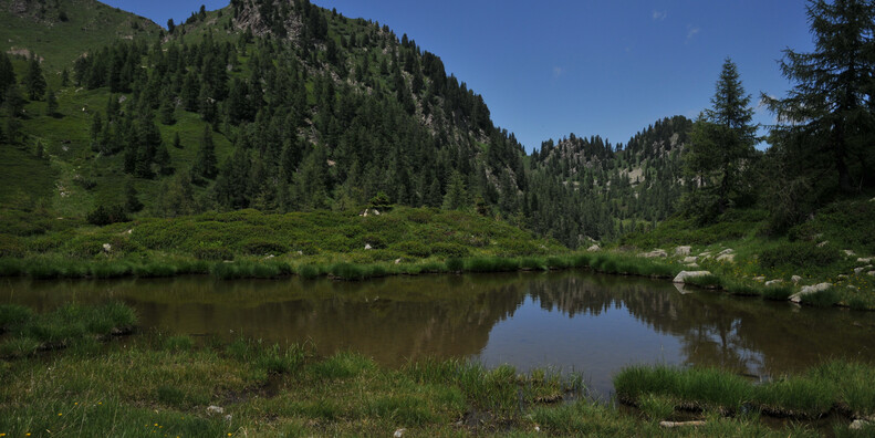Oasi di Valtrigona #2 | © Oasi Valtrigona - photo Associazione WWF Trentino