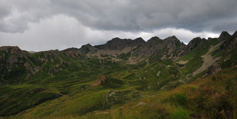 Oasi di Valtrigona #1 | © Oasi Valtrigona - photo Associazione WWF Trentino