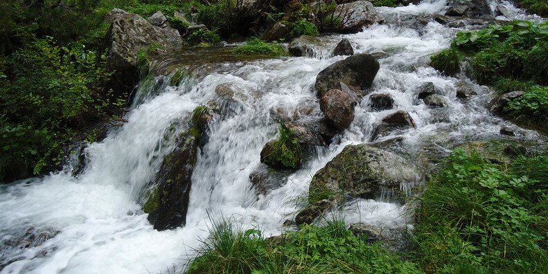 Oasi di Valtrigona #4 | © Oasi Valtrigona - photo Associazione WWF Trentino