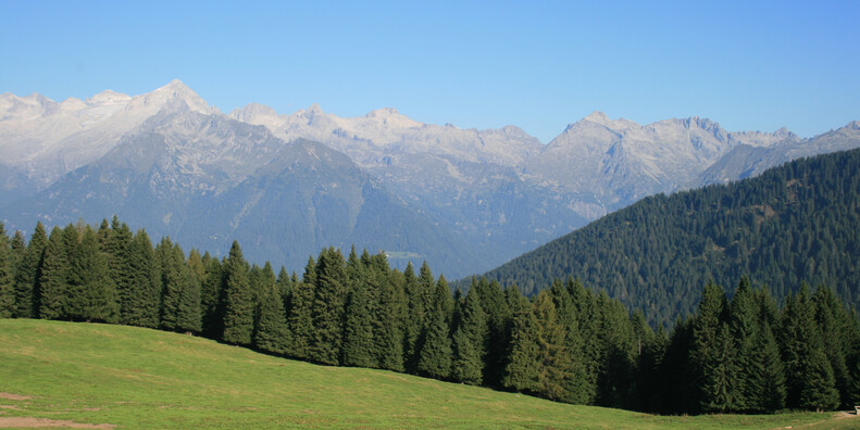 Val d'Algone   #2