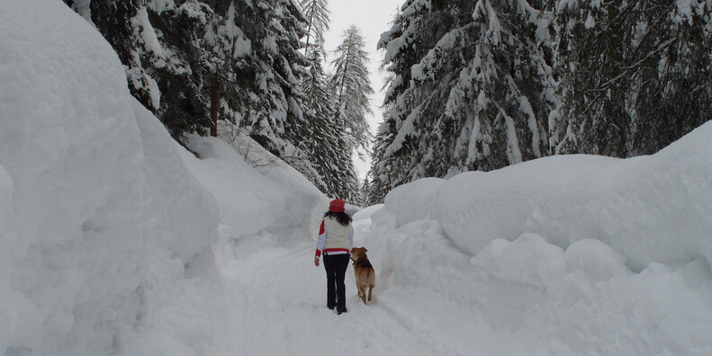 Rabbi #5 | © APT Val di Sole - Rabbi in inverno - ph. D. Andreis