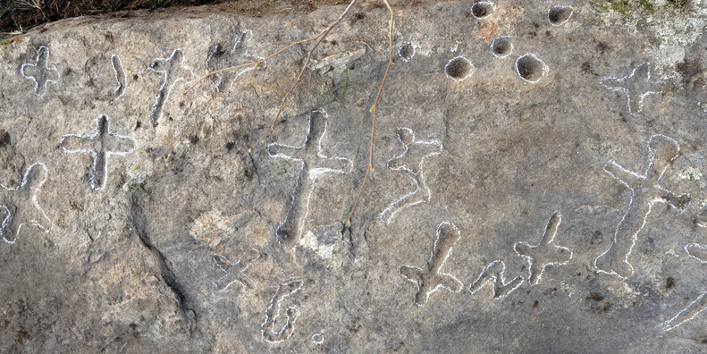 Terzolas  #2 | © APT Val di Sole - Sassi coppellati a Terzolas - ph. Ass. Val di Sole Antica