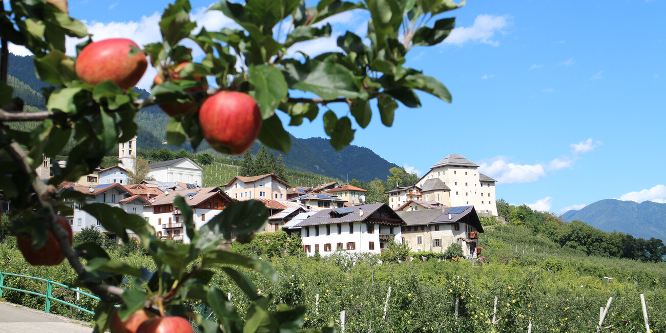 Cavizzana  #3 | © APT Val di Sole - Castel Caldes - ph. Dario Andreis