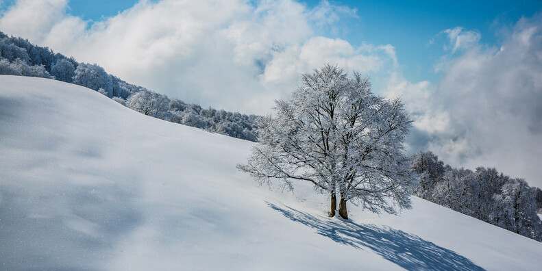Riserve Bès Corna Piana  #6 | © Ph. Tommaso Prugnola