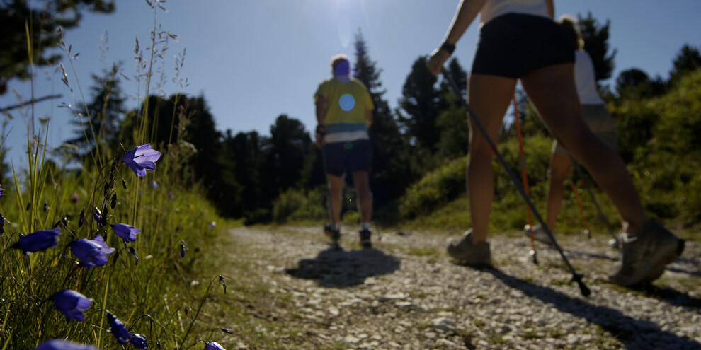 Nordic walking 