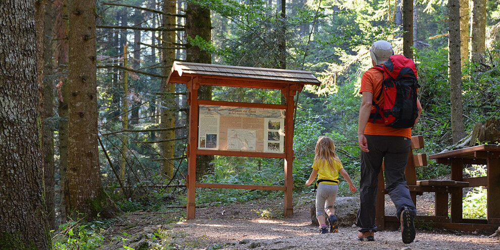 Alpe_Cimbra_I_Giganti_del_Bosco | © Alpe_Cimbra_I_Giganti_del_Bosco