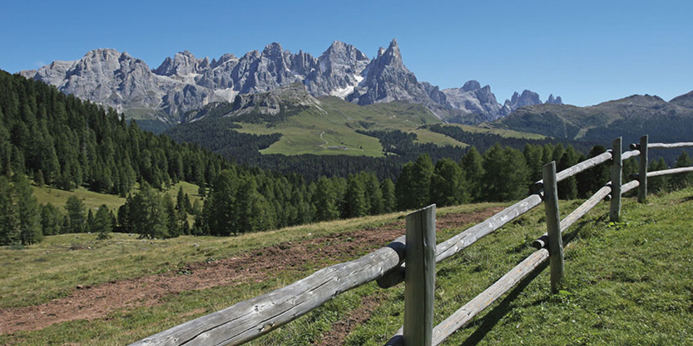 Giulio Montini-Fototrekking 2006 - Val di Fiemme - Panorama da Malga Bocche - Catena delle Pale di San Martino | © Giulio Montini-Fototrekking 2006 - Val di Fiemme - Panorama da Malga Bocche - Catena delle Pale di San Martino