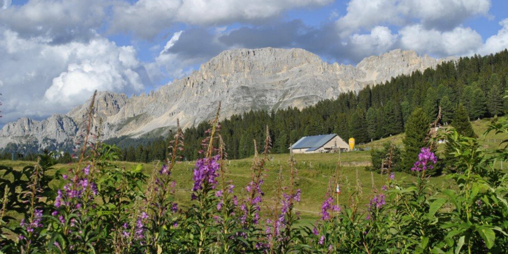 Passo Lavazè