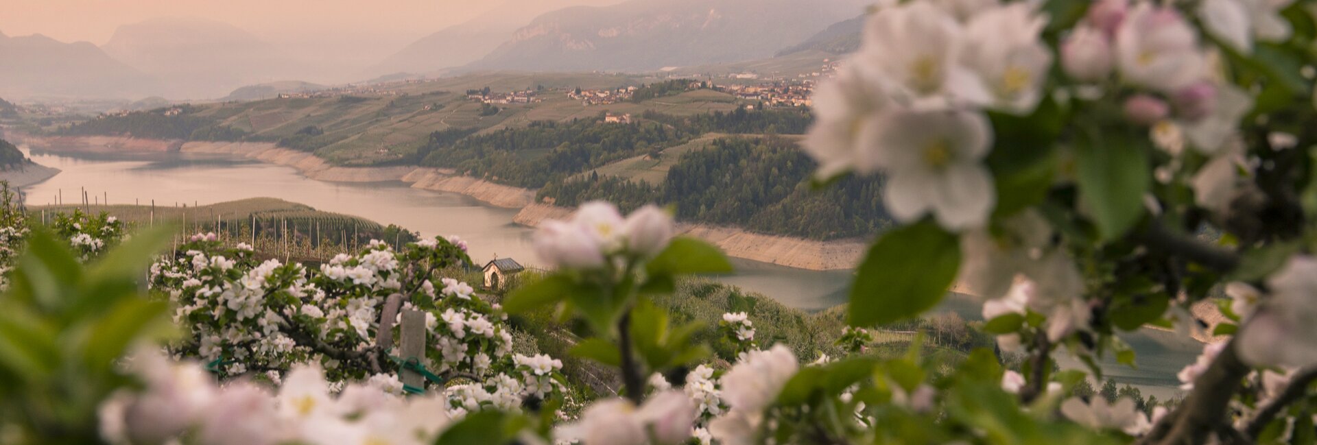 Валь-ди-Нон