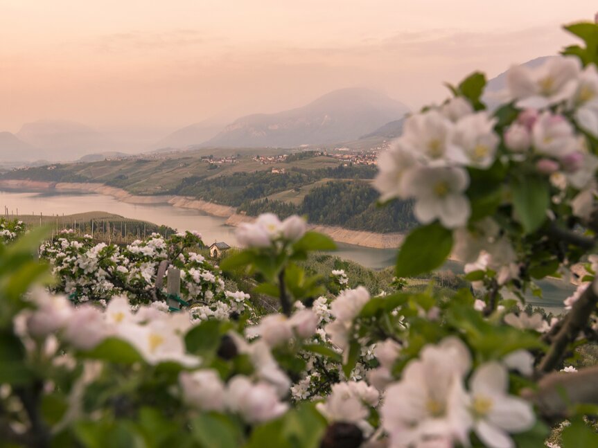 Валь-ди-Нон