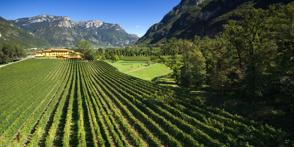 San Leonardo wijntour