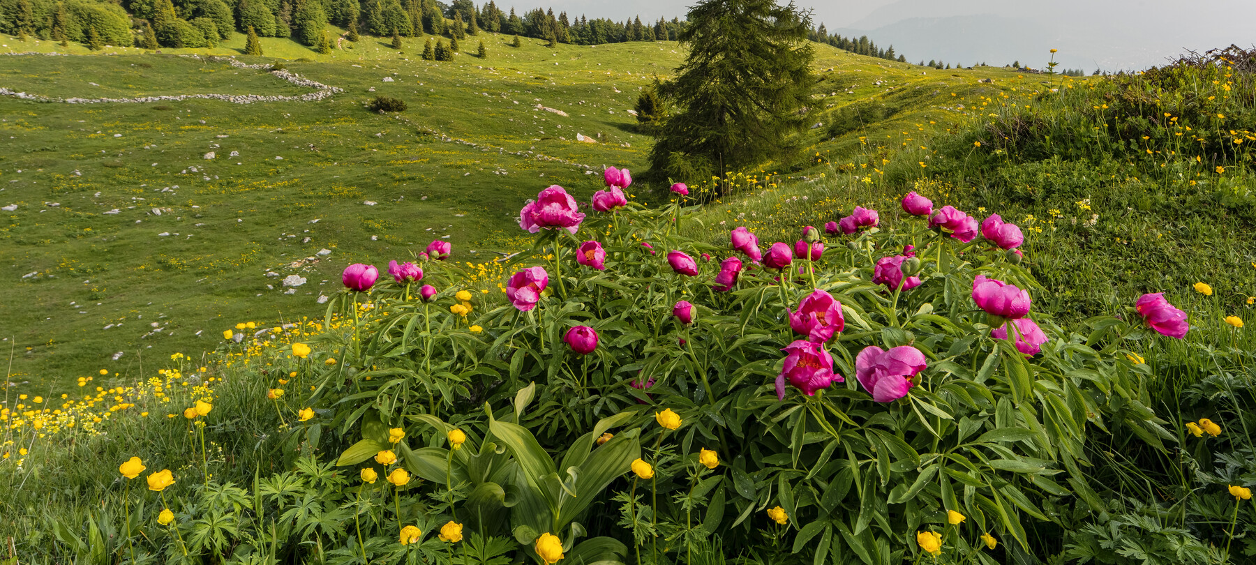 What to do in spring in Rovereto and Vallagarina