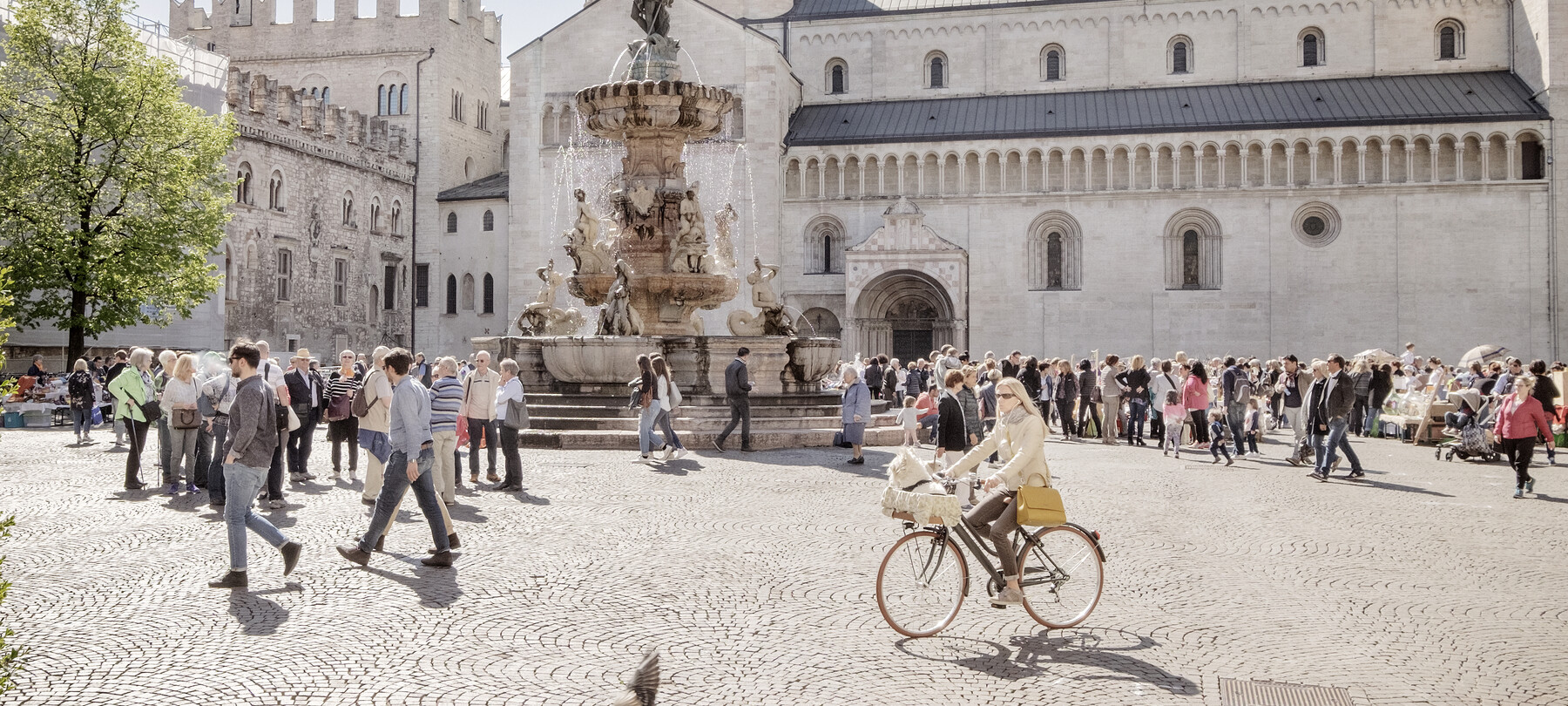 What to do in Trento in spring