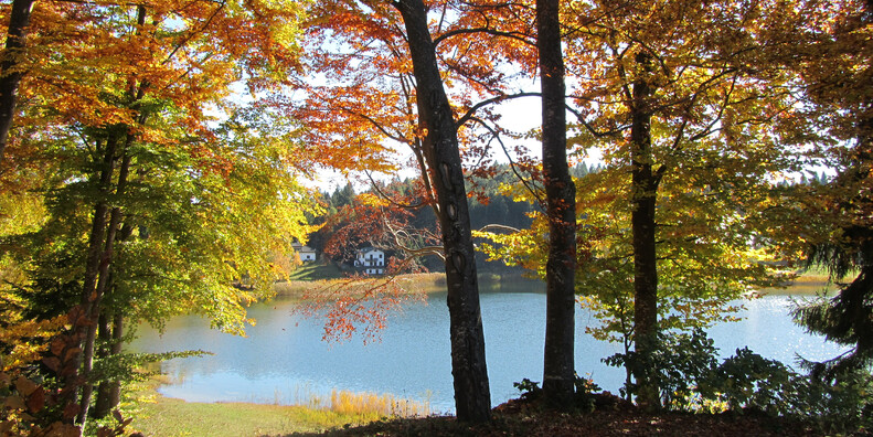 Lago Santo  #5 | © Lago Santo - APT Piné Cembra - ph. Annamaria Pascali