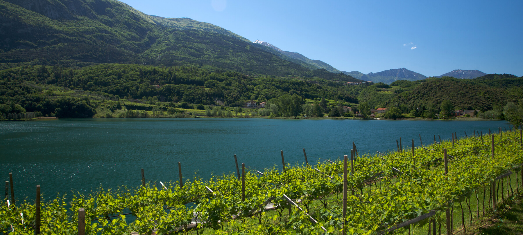 Il Vino Santo: Der beliebteste italienische Süßwein